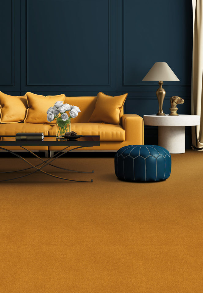 Penthouse Carpets Stateside Roomset